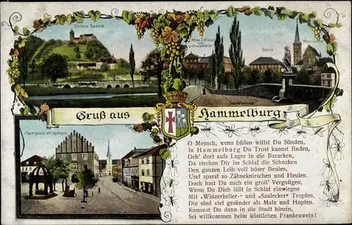 Wappen Ak Hammelburg in Unterfranken Bayern, Schloss Saaleck, Schule, Pfarrkirche, Marktplatz