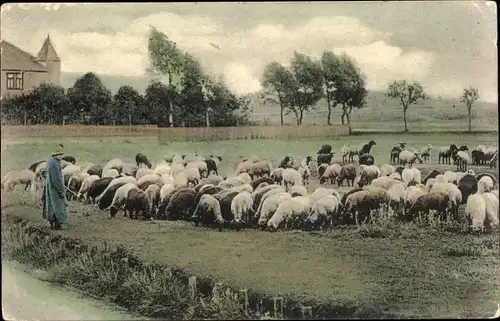 Ak Ländliches Idyll, Schäfer mit Schafherde