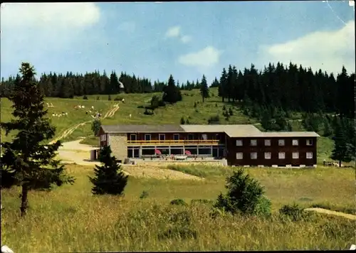 Ak Feldberg im Schwarzwald, Berghotel "Herzogenhorn", Gesamtansicht