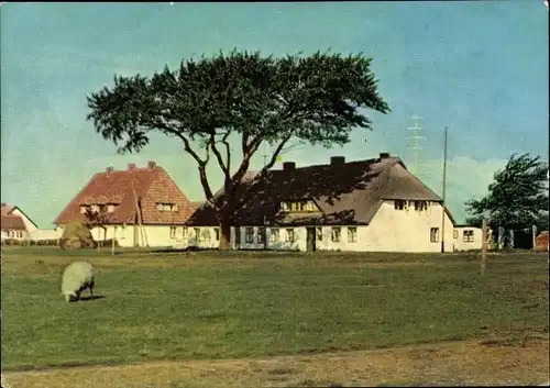 Ak Neuendorf auf der Insel Hiddensee, Fischerhäuser