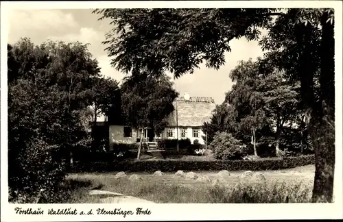 Ak Steinbergkirche in Angeln, Teilansicht vom Forsthaus Waldlust, Flensburger Förde