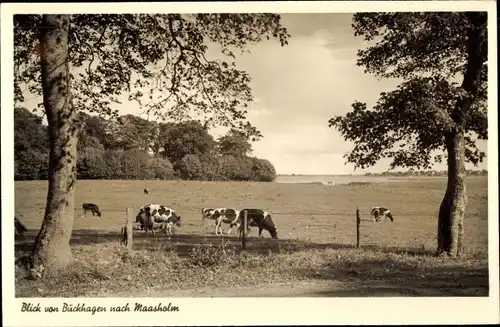 Ak Buckhagen Rabel Schleswig Holstein, Blick nach Maasholm