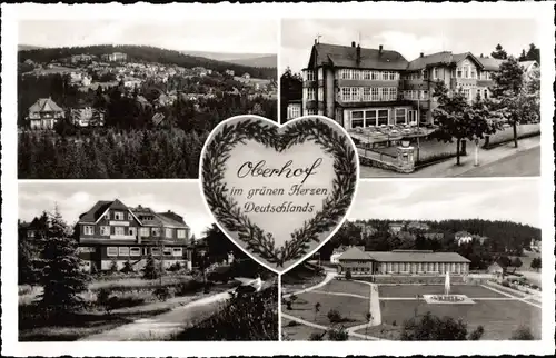 Ak Pirna an der Elbe, Ort, Gasthof, Parkanlage