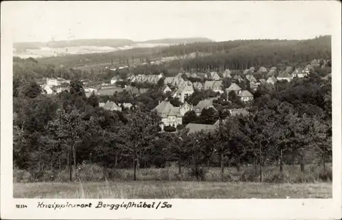 Ak Berggießhübel in Sachsen, Totalansicht