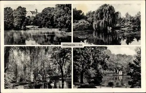 Ak Mittweida in Sachsen, Gewässeransichten, Teich, Schwan, Entenhaus