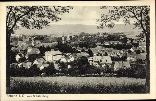 Ak Erbach im Odenwald Hessen, Panorama vom Schöllenberg