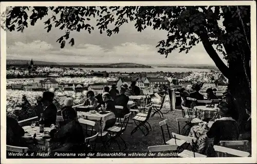 Ak Werder an der Havel, Panorama von der Bismarckhöhe während der Baumblüte