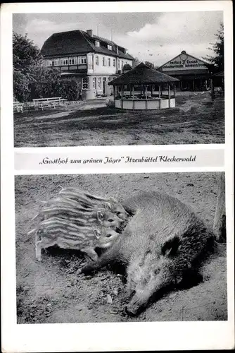 Ak Itzenbüttel Jesteburg in Niedersachsen, Kleckerwald, Gasthaus Zum grünen Jäger, Wildschweine