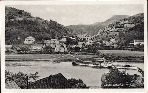 Ak Krippen Bad Schandau Sächsische Schweiz, Blick zum Ort, Salondampfer