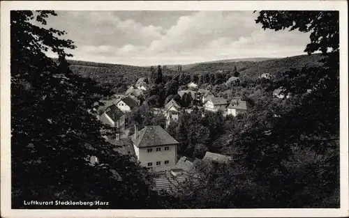 Ak Stecklenberg Thale im Harz, Teilansicht