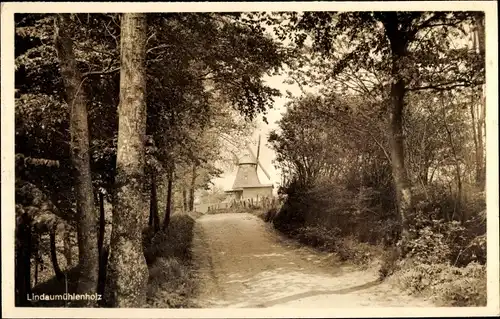 Ak Boren in Angeln, Windmühle Lindaumühlenholz