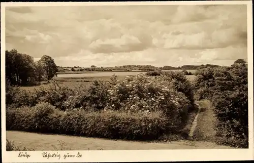 Ak Sörup in Angeln, Fußsteig zum See
