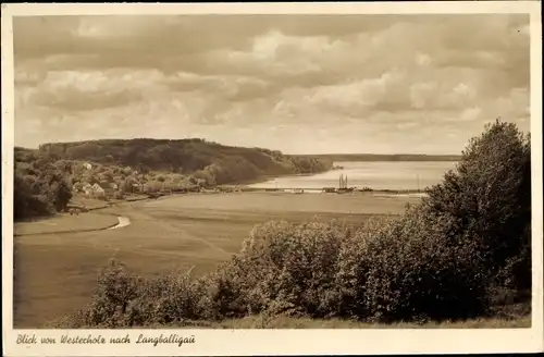 Ak Westerholz in Angeln, Langballigau