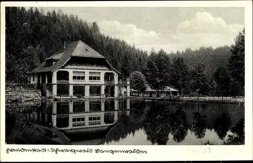 Ak Freudenstadt im Nordschwarzwald, Hotel Langenwaldsee