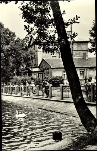 Ak Strausberg in Brandenburg, Partie am Straus See, Schwan