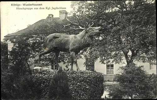 Ak Königs Wusterhausen in Brandenburg, Hirschgruppe aus dem Kgl. Jagdschloss