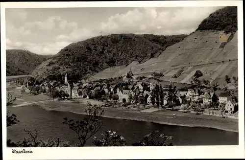 Ak Moselkern an der Mosel, Panorama