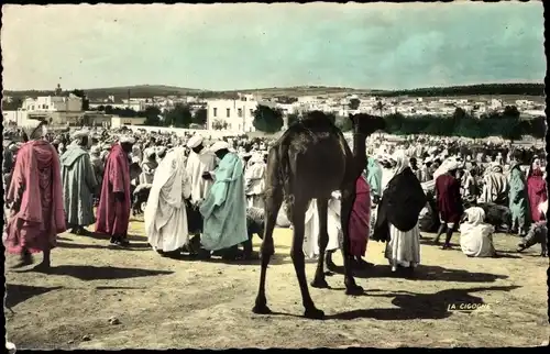 Ak Scenes et Types, un souk, Araber, Kamel, Maghreb