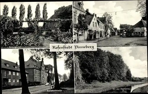 Ak Pinneberg in Schleswig Holstein, Rosengarten, Damm, Bahnhofstraße, Mühlenau