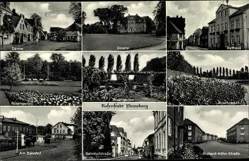 Ak Pinneberg in Schleswig Holstein, Damm, Drostei, am Bahnhof, Rathaus, Rosengarten, Bahnhofstraße