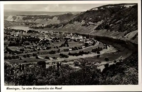 Ak Winningen an der Mosel, Panorama