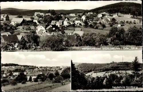 Ak Siedelsbrunn Wald Michelbach im Odenwald Hessen, Sendeturm Hardberg, Ortsansicht