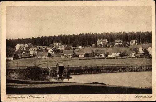 Ak Hahnenklee Bockswiese Goslar im Harz, Teilansicht