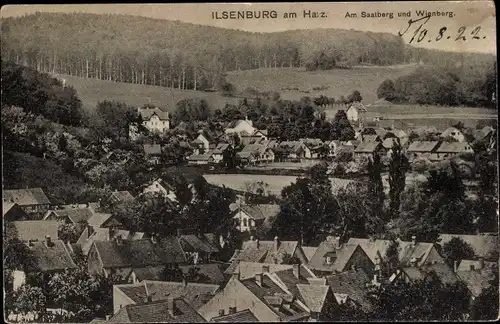 Ak Ilsenburg am Nordharz, Saalberg und Wienberg