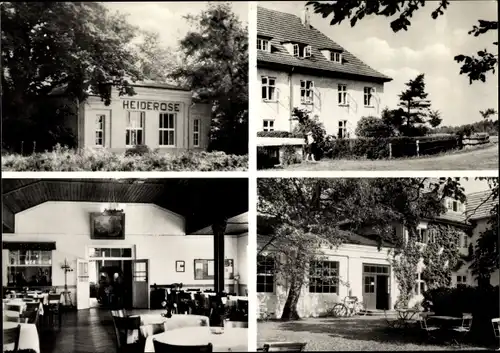 Ak Vitte Hiddensee Ostsee, Partie an der Gaststätte Heiderose, Innenansicht, Garten