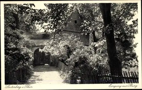 Ak Leutenberg in Thüringen, Eingang zur Burg