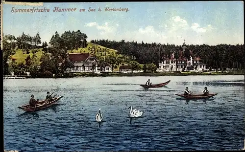 Ak Hamr na Jezeře Hammer am See Region Reichenberg, Teilansicht bei Wartenberg