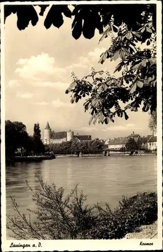 Ak Lauingen an der Donau Schwäbische Alb, Blick über Donau