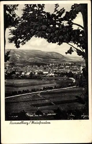 Ak Hammelburg in Unterfranken / Mainfranken Bayern, Panorama