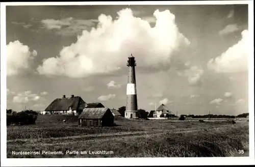 Ak Pellworm, Leuchtturm mit Häusern, Wiese