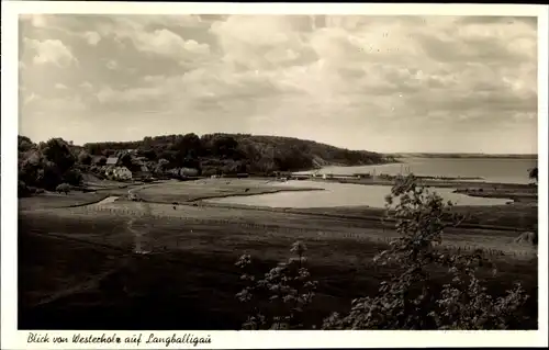Ak Langballigau Langballig in Angeln Schleswig Holstein, Blick von Westerholz
