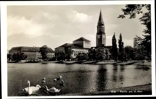 Ak Kiel, Kleiner Kiel, Partie mit Rathaus u. Stadttheater, Schwäne