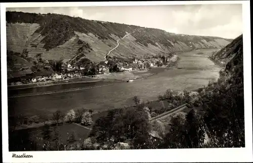 Ak Moselkern an der Mosel, Panorama