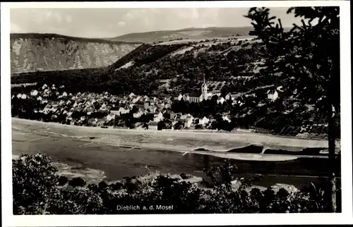 Ak Dieblich an der Mosel, Blick aus der Ferne