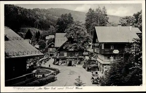 Ak Międzygórze Wölfelsgrund Schlesien, Am Weiss Eck und Hotel Weiss