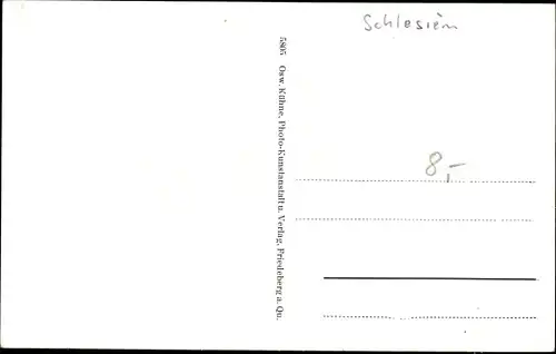 Ak Międzygórze Wölfelsgrund Schlesien, Am Weiss Eck und Hotel Weiss
