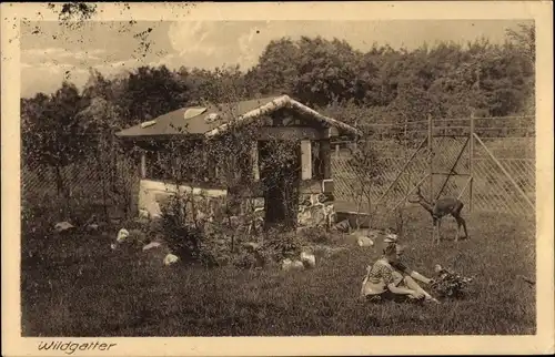 Ak Bothfeld Vahrenheide Hannover, Fasanenkrug, Wildgatter