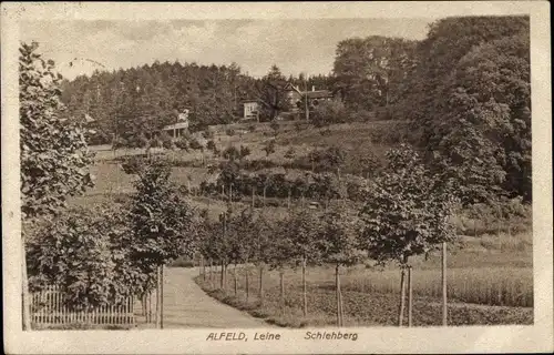 Ak Alfeld an der Leine, Schlehberg