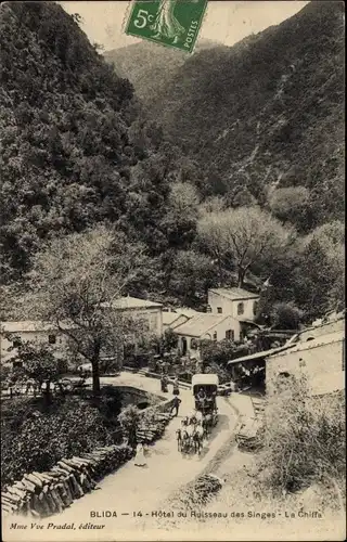 Ak Blida Algerien, Hotel du Ruisseau des Singes, la Chiffa