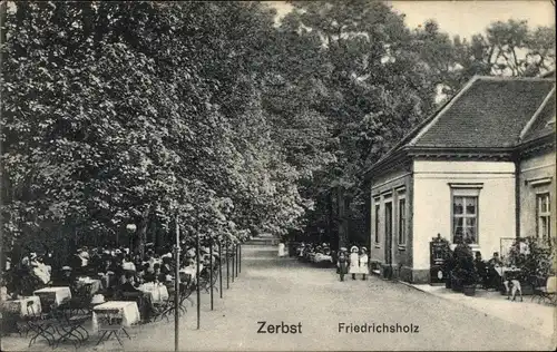 Ak Zerbst in Anhalt, Friedrichsholz