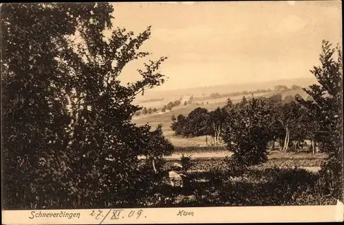 Ak Schneverdingen in der Lüneburger Heide, Köpen, Landschaftsblick