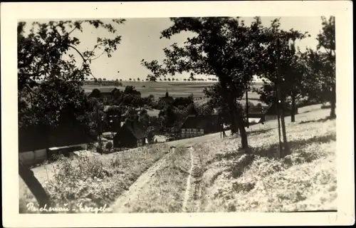 Foto Ak Reichenau im Erzgebirge, Teilansicht