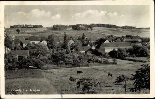 Ak Bockwitz Torgau an der Elbe, Teilansicht