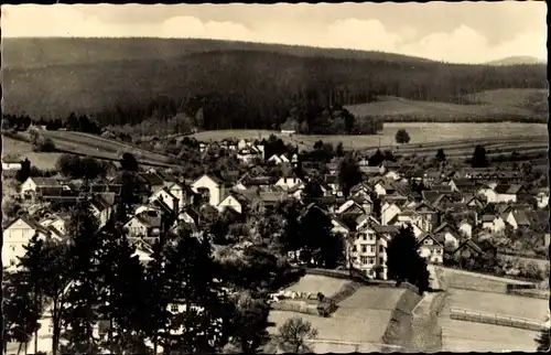 Ak Finsterbergen Friedrichroda im Thüringer Wald, Gesamtansicht