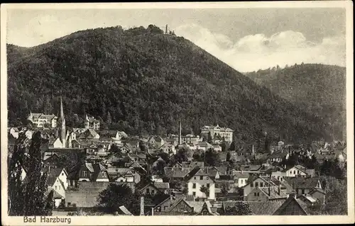 Ak Bad Harzburg am Harz, Panorama