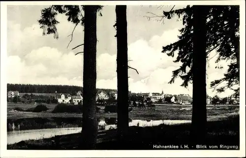 Ak Hahnenklee Bockswiese Goslar im Harz, Blick vom Ringweg